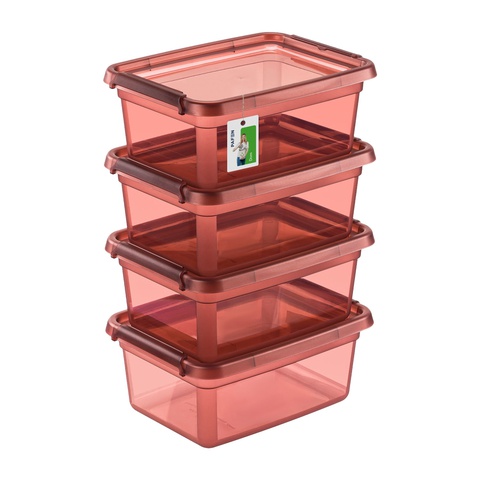 BaseStore Color 2522 Transparent maroon storage container set