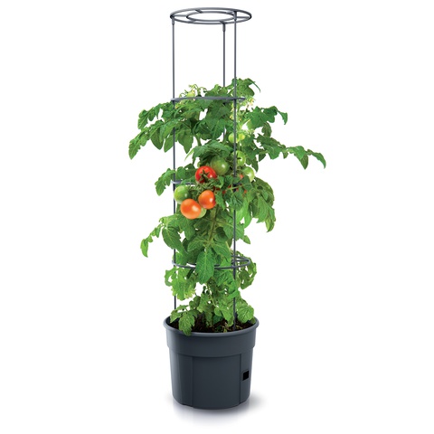 Doniczka Tomato Grower IPOM300 Antracytowy