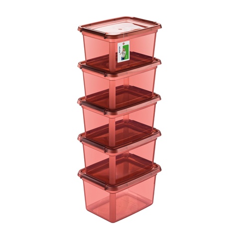 BaseStore Color 2552 Transparent maroon storage container set